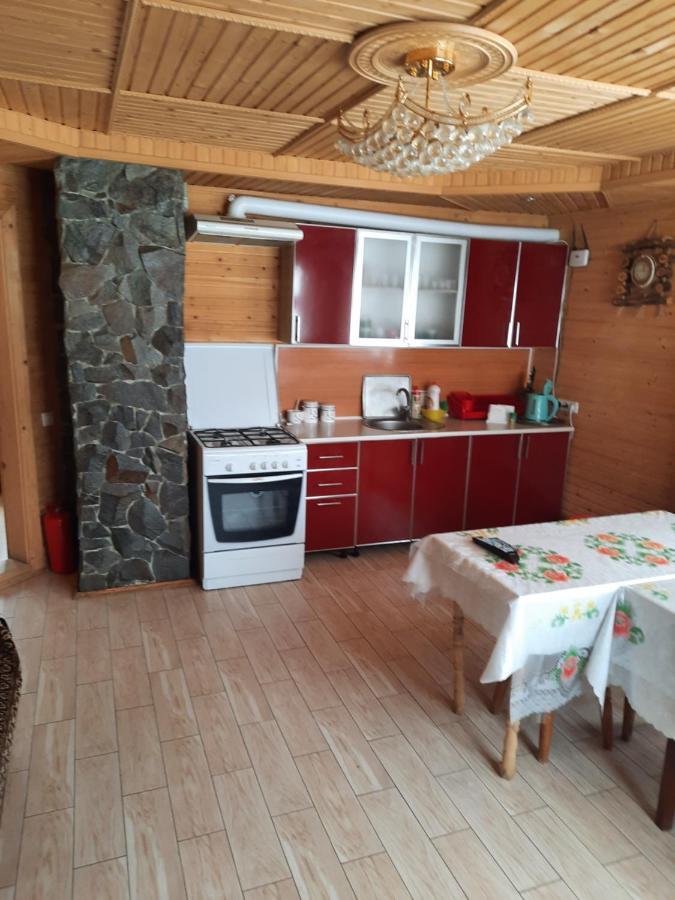 보로크타 Гостинний Двір Матійчуків 빌라 외부 사진